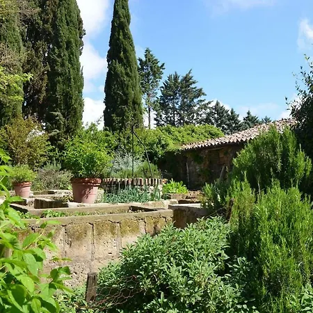 Poggio Caselline * Orvieto