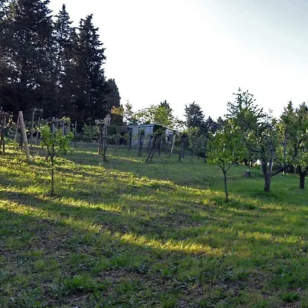 Villa Poggio Caselline *