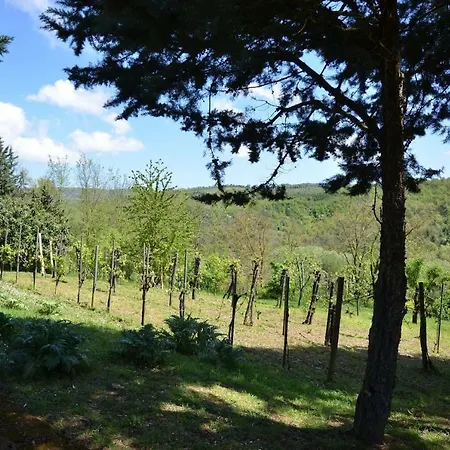 Poggio Caselline *